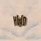 Pin's HWD